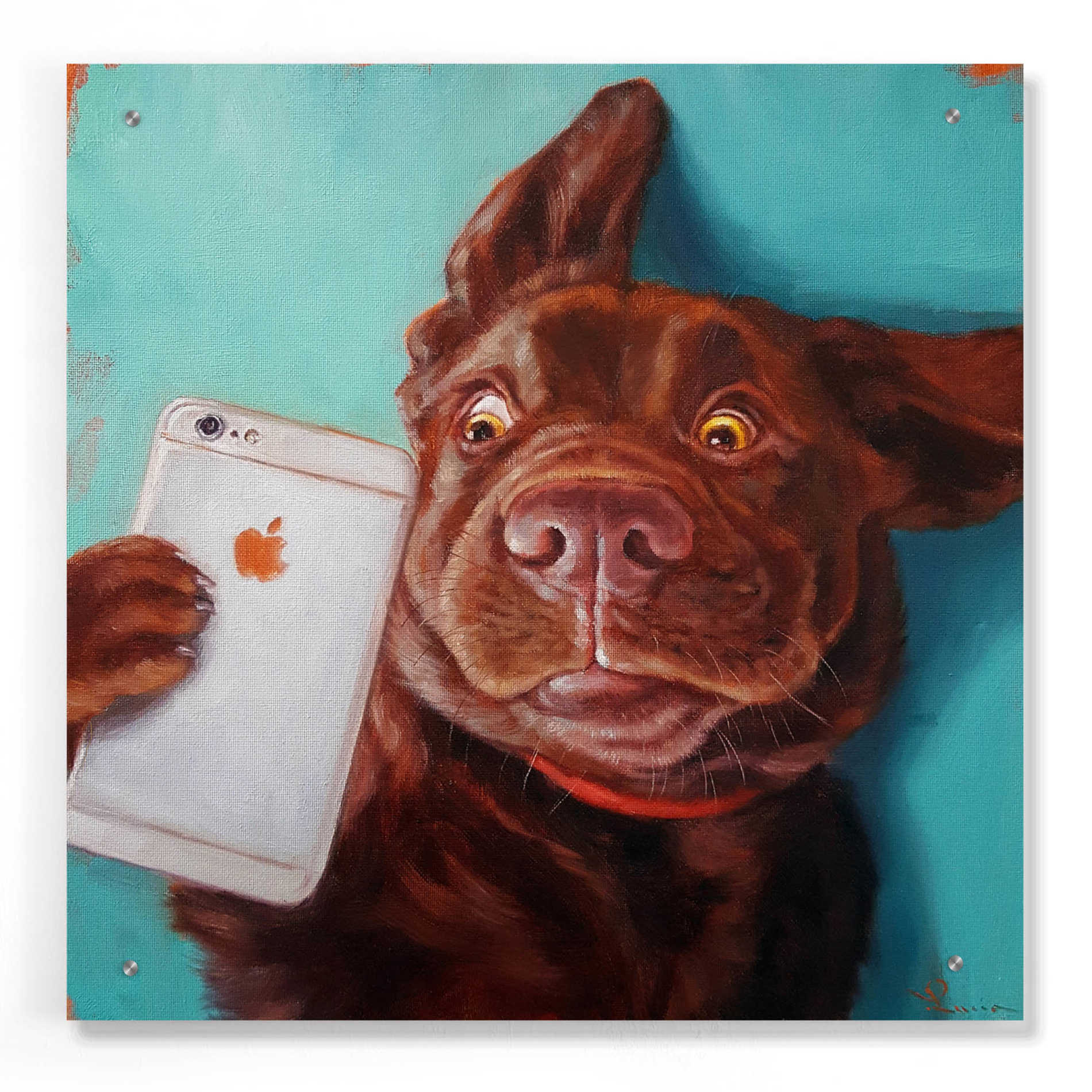 Epic Art 'Dog Selfie' by Lucia Heffernan, Acrylic Glass Wall Art,24x24