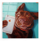 Epic Art 'Dog Selfie' by Lucia Heffernan, Acrylic Glass Wall Art