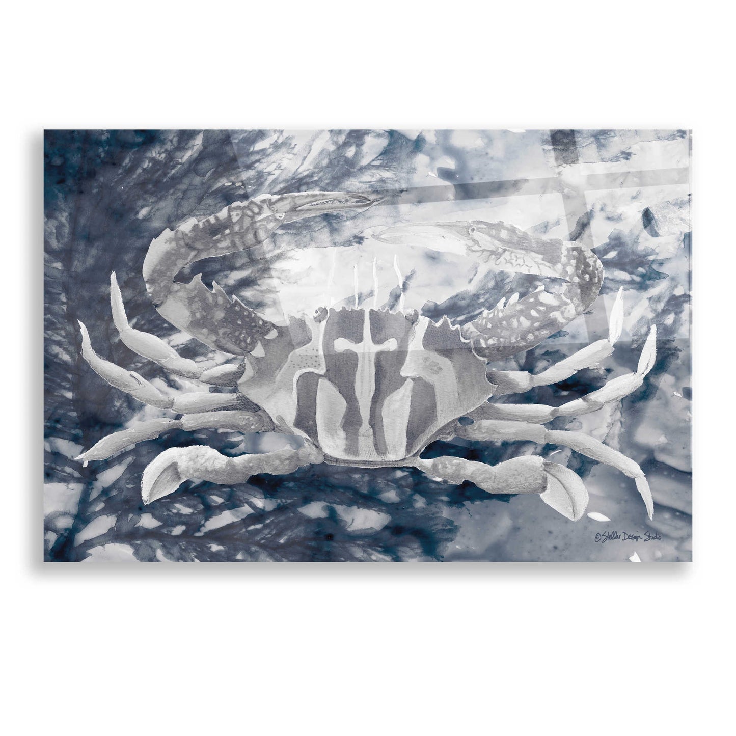 Epic Art 'Ocean Collection 5' by Stellar Design Studio, Acrylic Glass Wall Art,16x12