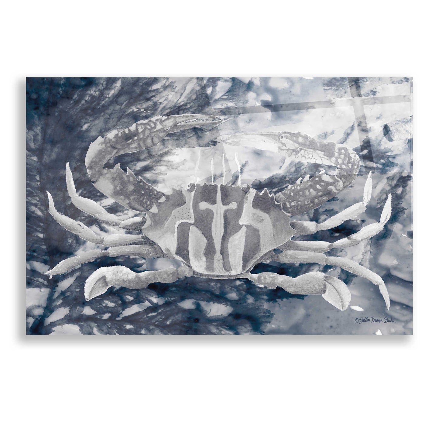 Epic Art 'Ocean Collection 5' by Stellar Design Studio, Acrylic Glass Wall Art,24x16