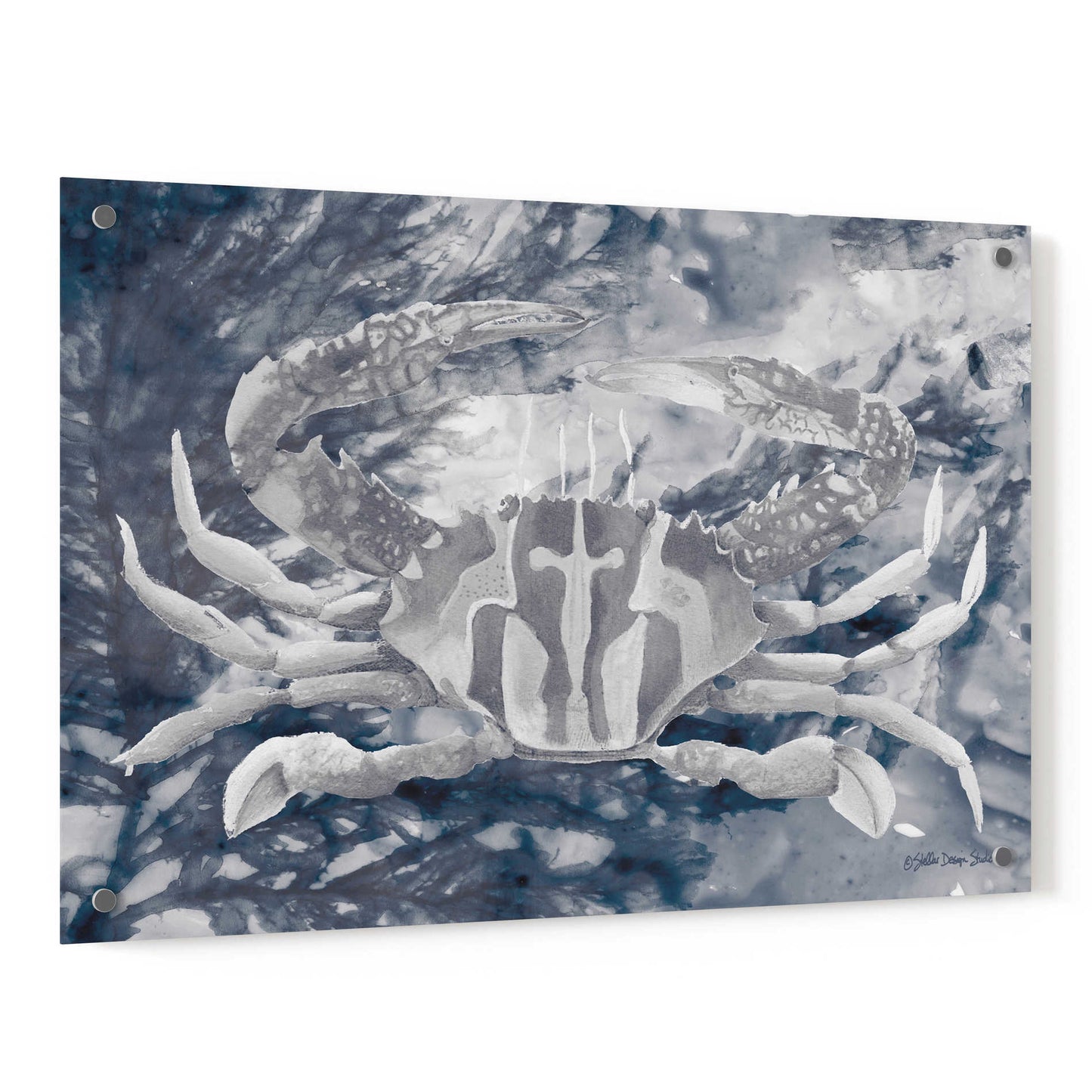 Epic Art 'Ocean Collection 5' by Stellar Design Studio, Acrylic Glass Wall Art,36x24