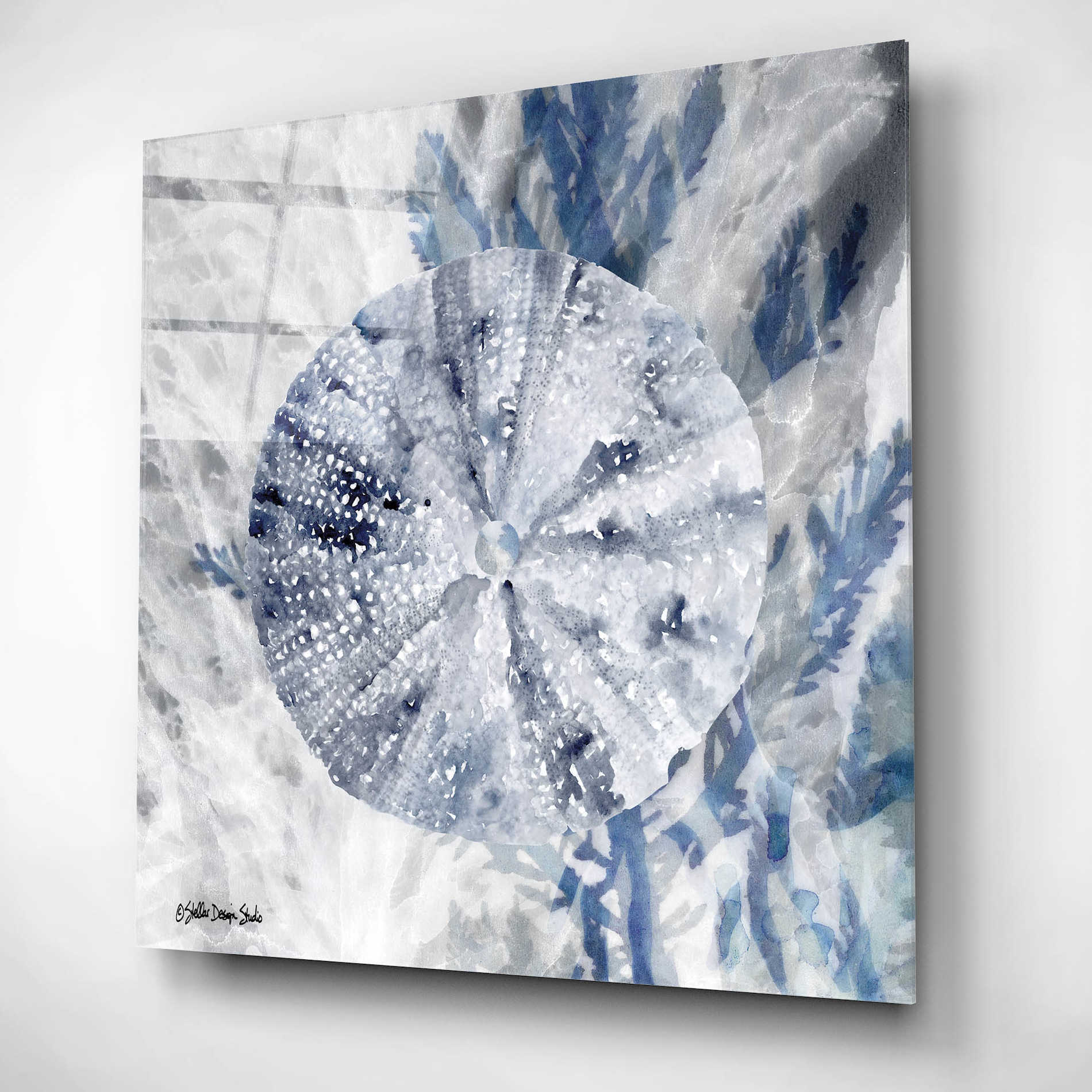 Epic Art 'Ocean Collection 2' by Stellar Design Studio, Acrylic Glass Wall Art,12x12