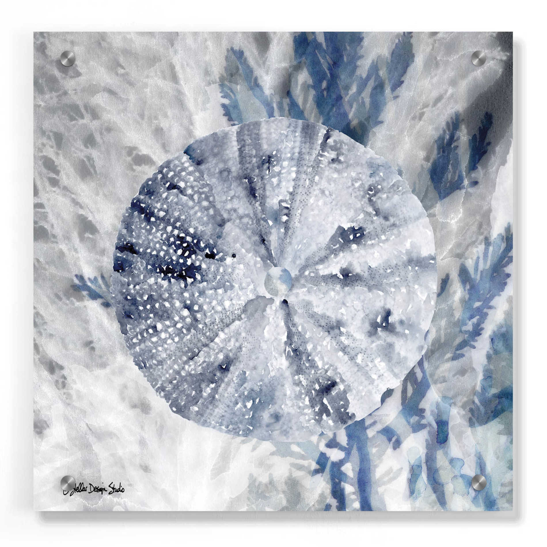 Epic Art 'Ocean Collection 2' by Stellar Design Studio, Acrylic Glass Wall Art,36x36