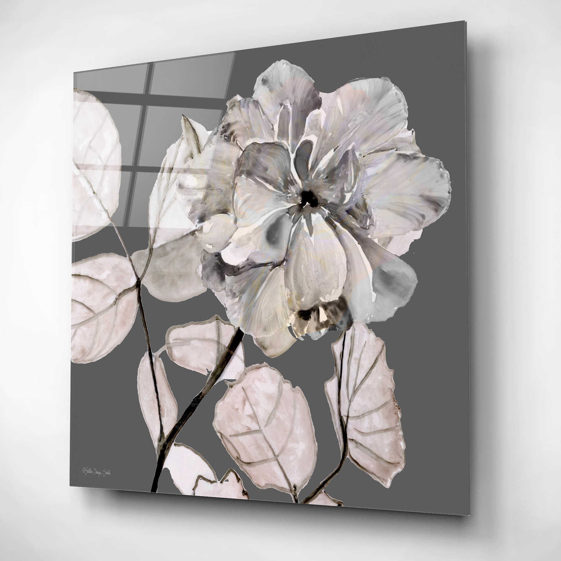 Epic Art 'Floral in Gray 1' by Stellar Design Studio, Acrylic Glass Wall Art,12x12