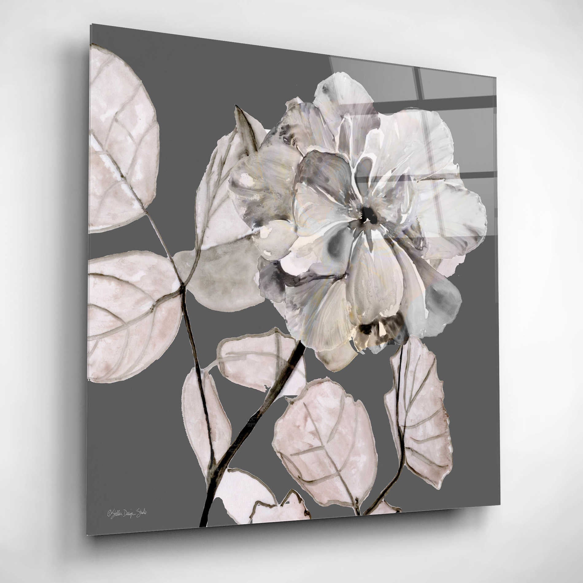 Epic Art 'Floral in Gray 1' by Stellar Design Studio, Acrylic Glass Wall Art,12x12