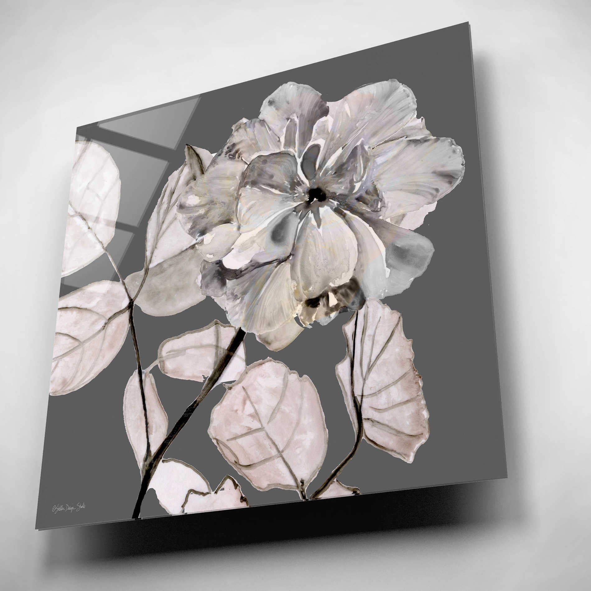 Epic Art 'Floral in Gray 1' by Stellar Design Studio, Acrylic Glass Wall Art,12x12