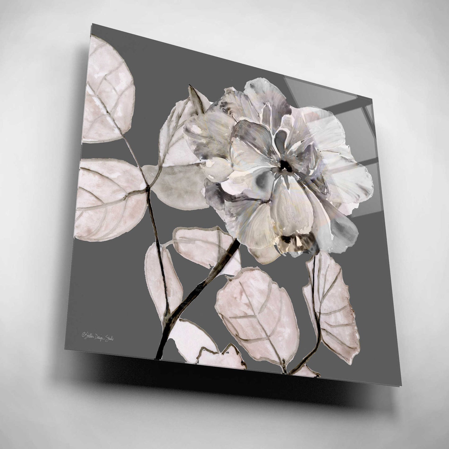 Epic Art 'Floral in Gray 1' by Stellar Design Studio, Acrylic Glass Wall Art,12x12