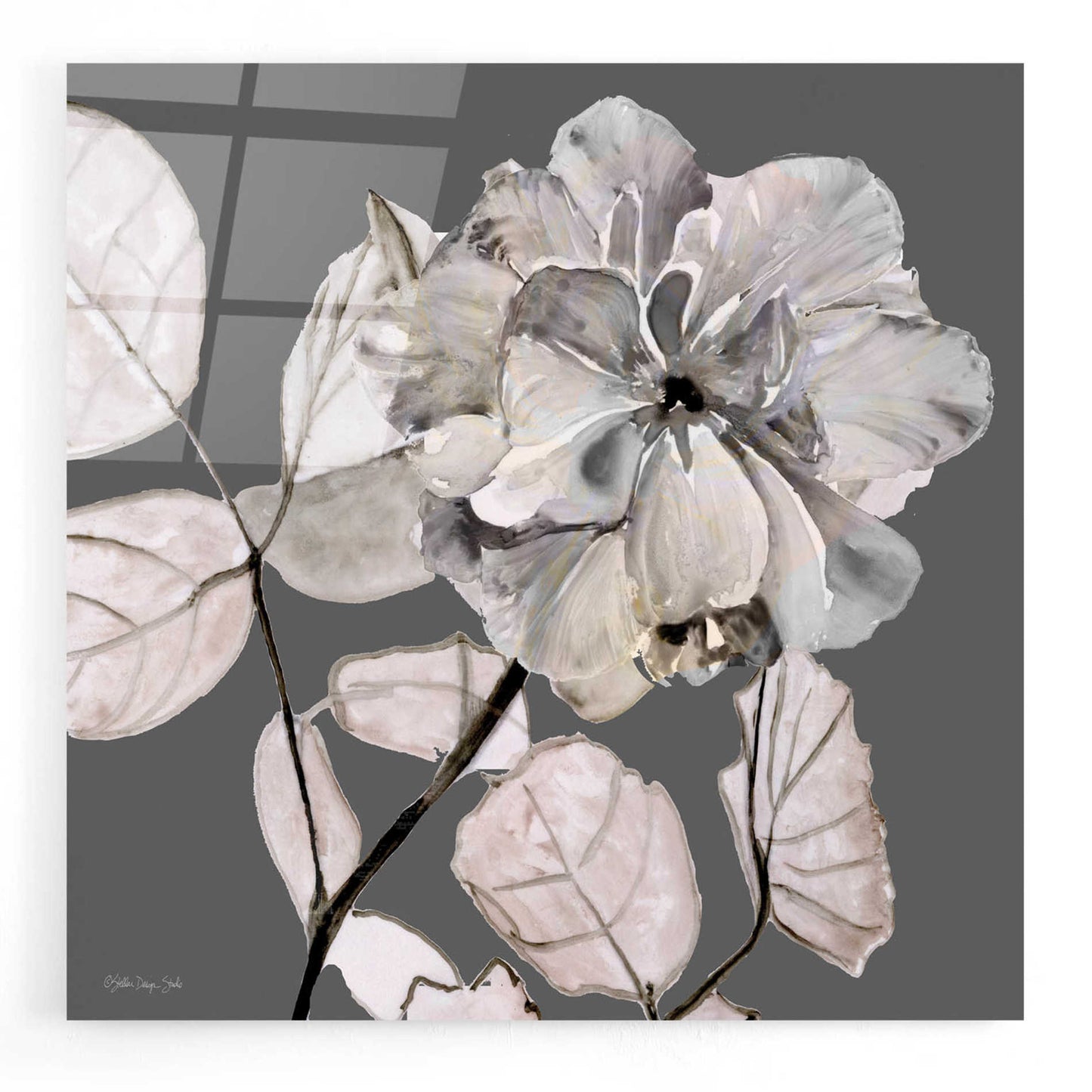 Epic Art 'Floral in Gray 1' by Stellar Design Studio, Acrylic Glass Wall Art,12x12