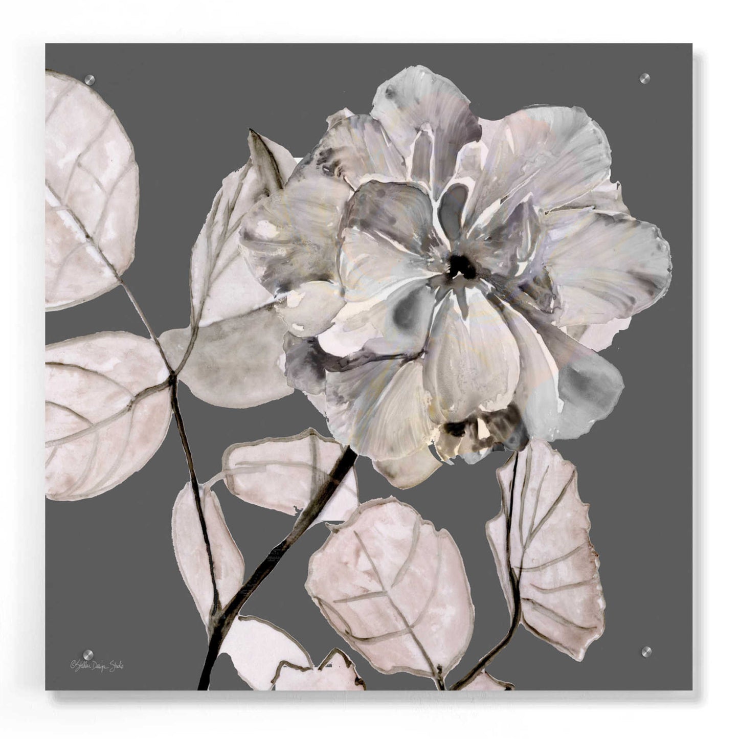 Epic Art 'Floral in Gray 1' by Stellar Design Studio, Acrylic Glass Wall Art,24x24