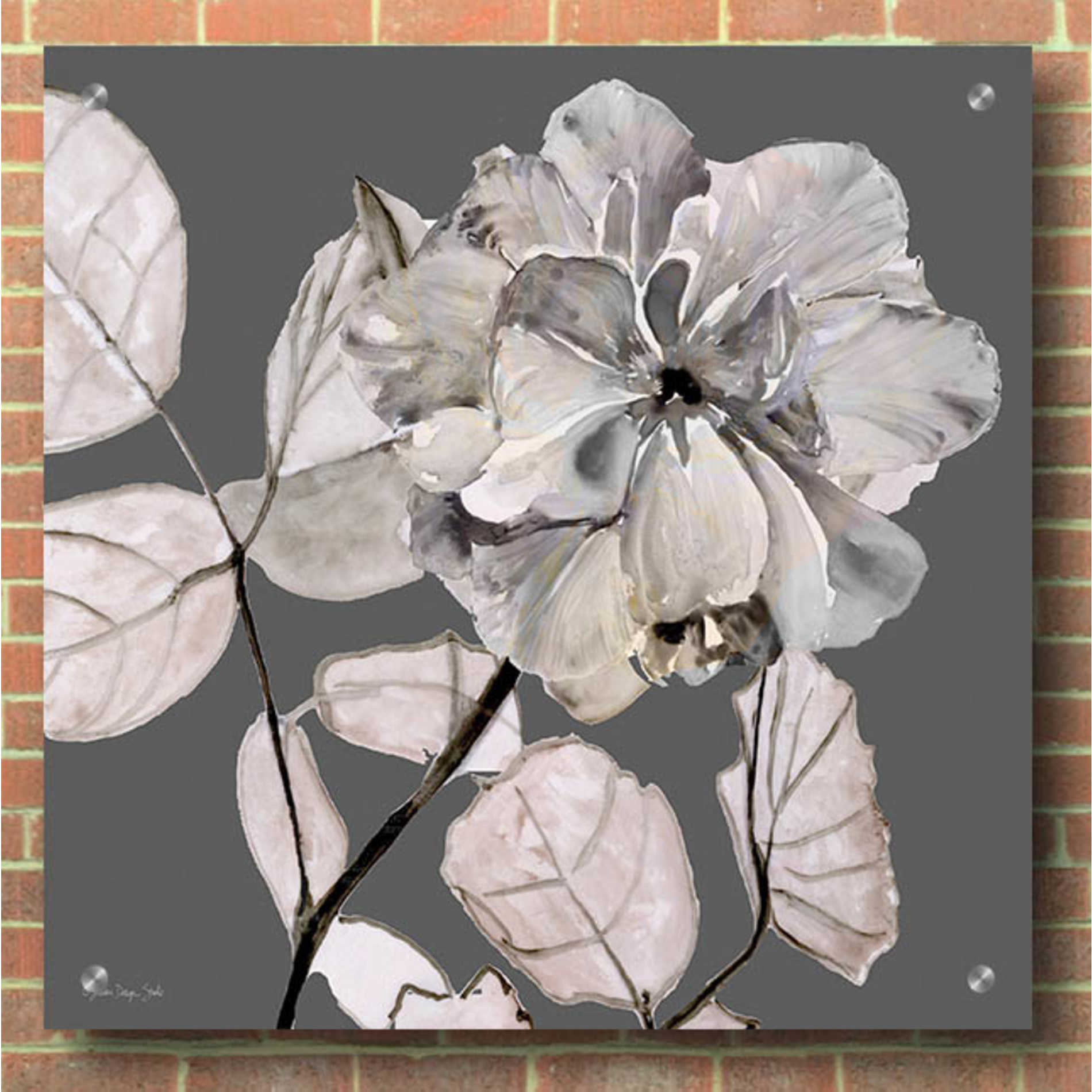 Epic Art 'Floral in Gray 1' by Stellar Design Studio, Acrylic Glass Wall Art,36x36