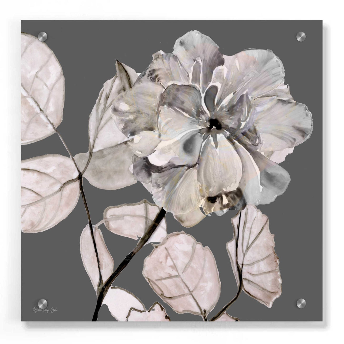 Epic Art 'Floral in Gray 1' by Stellar Design Studio, Acrylic Glass Wall Art,36x36