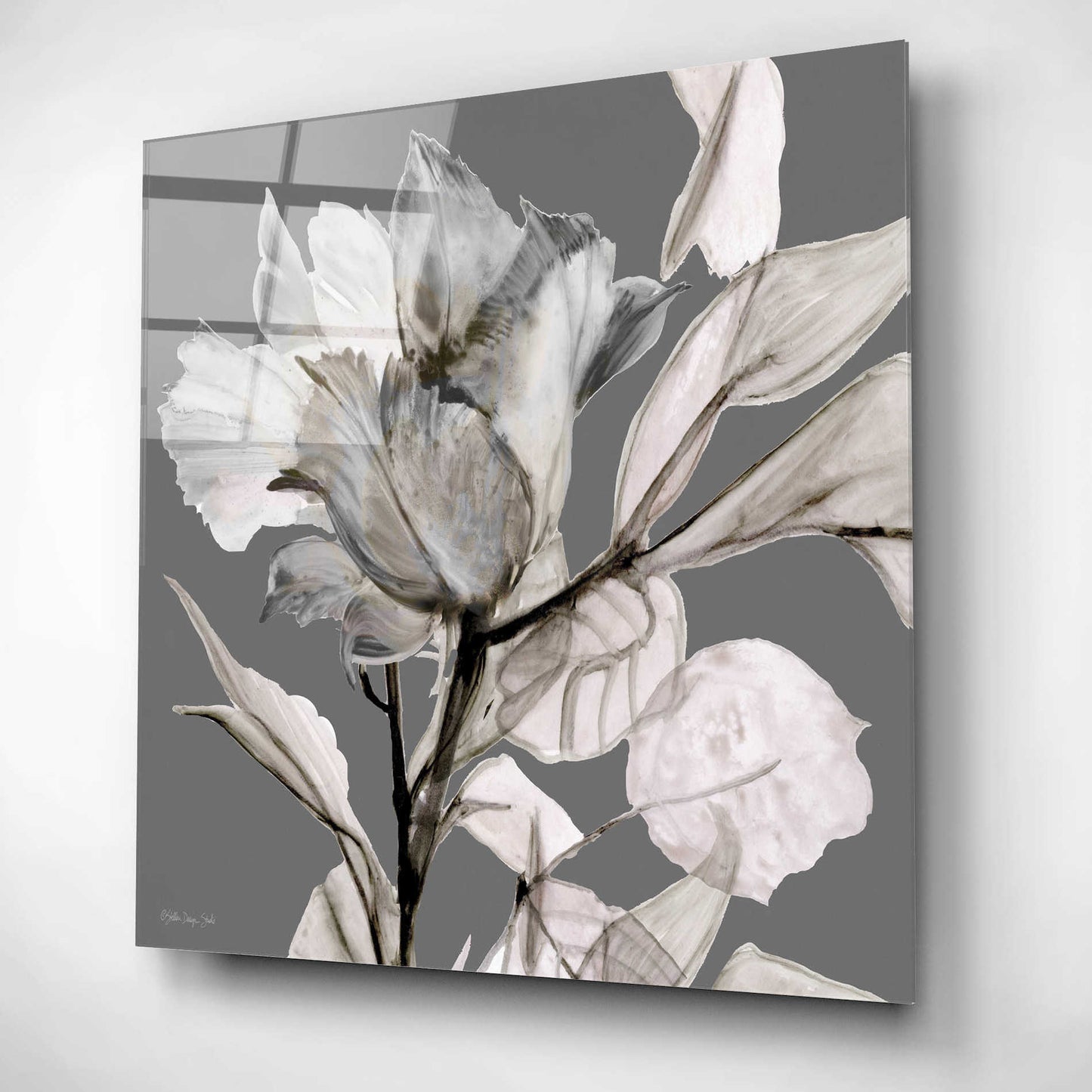 Epic Art 'Floral in Gray 2' by Stellar Design Studio, Acrylic Glass Wall Art,12x12