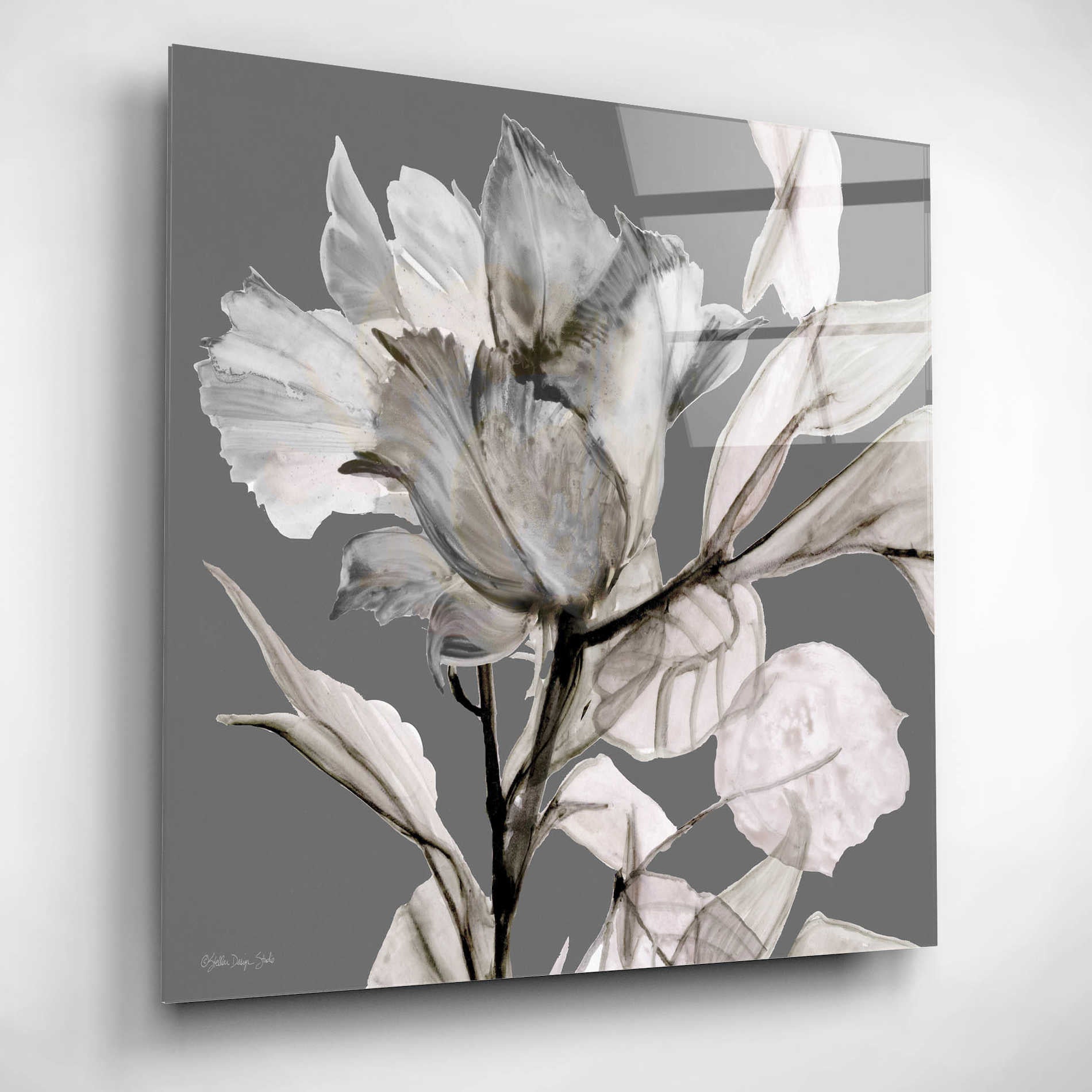 Epic Art 'Floral in Gray 2' by Stellar Design Studio, Acrylic Glass Wall Art,12x12