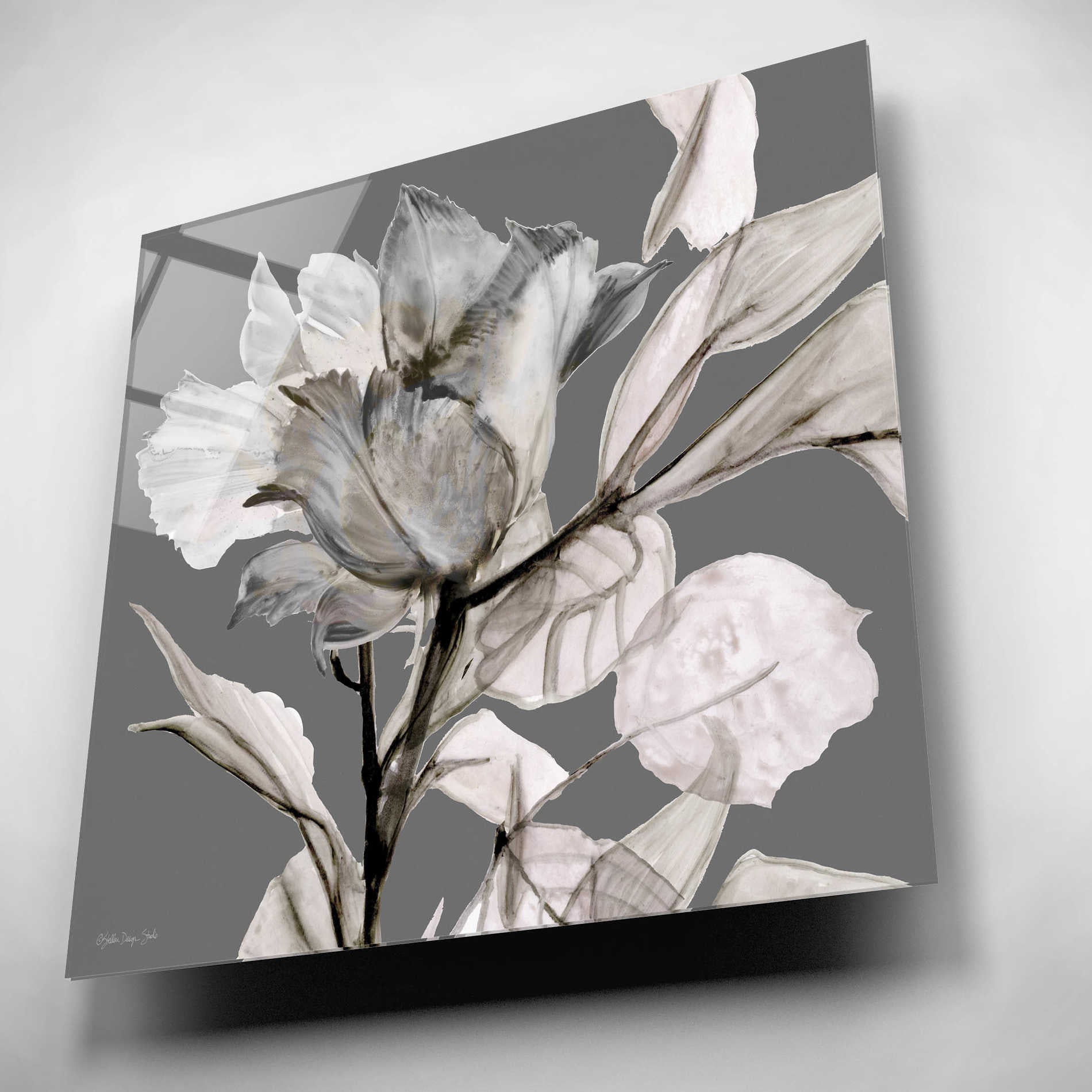 Epic Art 'Floral in Gray 2' by Stellar Design Studio, Acrylic Glass Wall Art,12x12