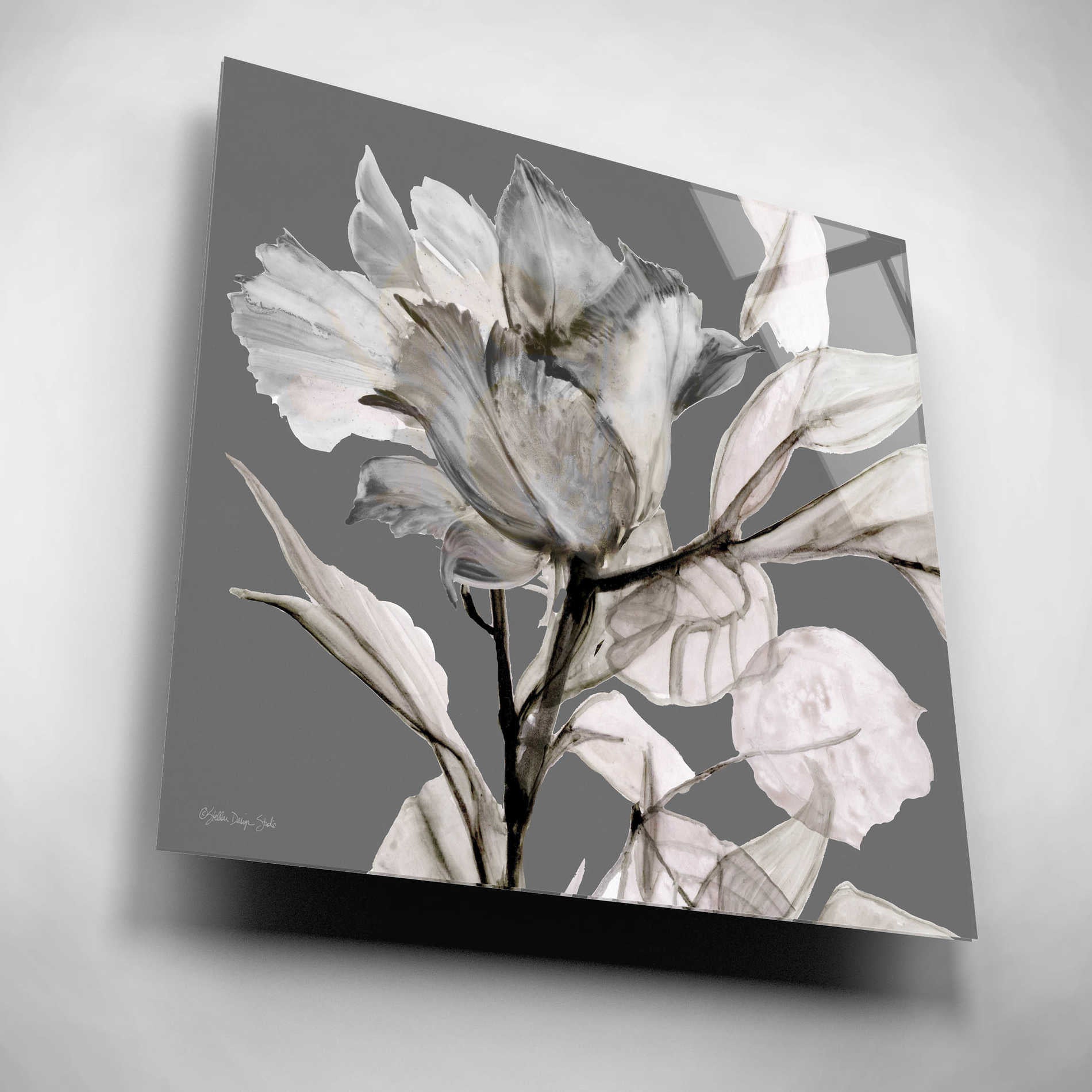 Epic Art 'Floral in Gray 2' by Stellar Design Studio, Acrylic Glass Wall Art,12x12