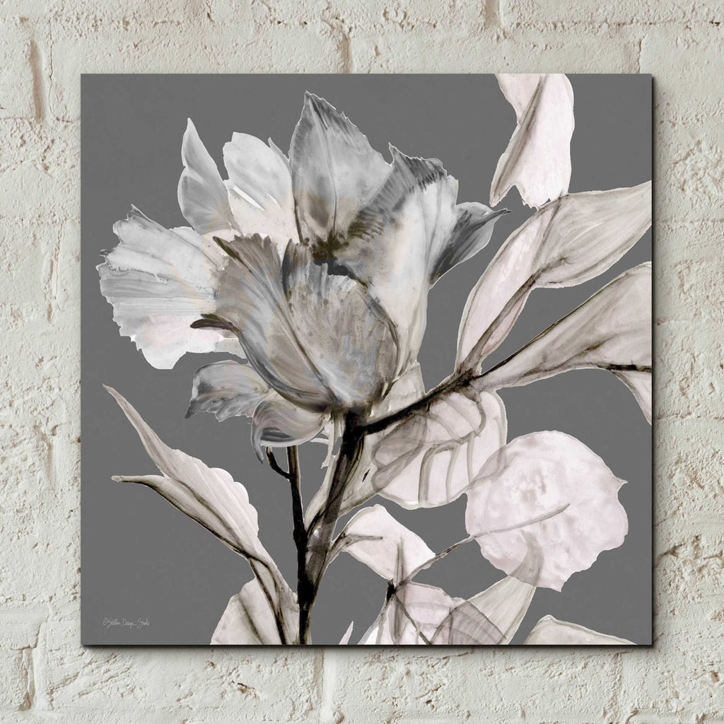 Epic Art 'Floral in Gray 2' by Stellar Design Studio, Acrylic Glass Wall Art,12x12
