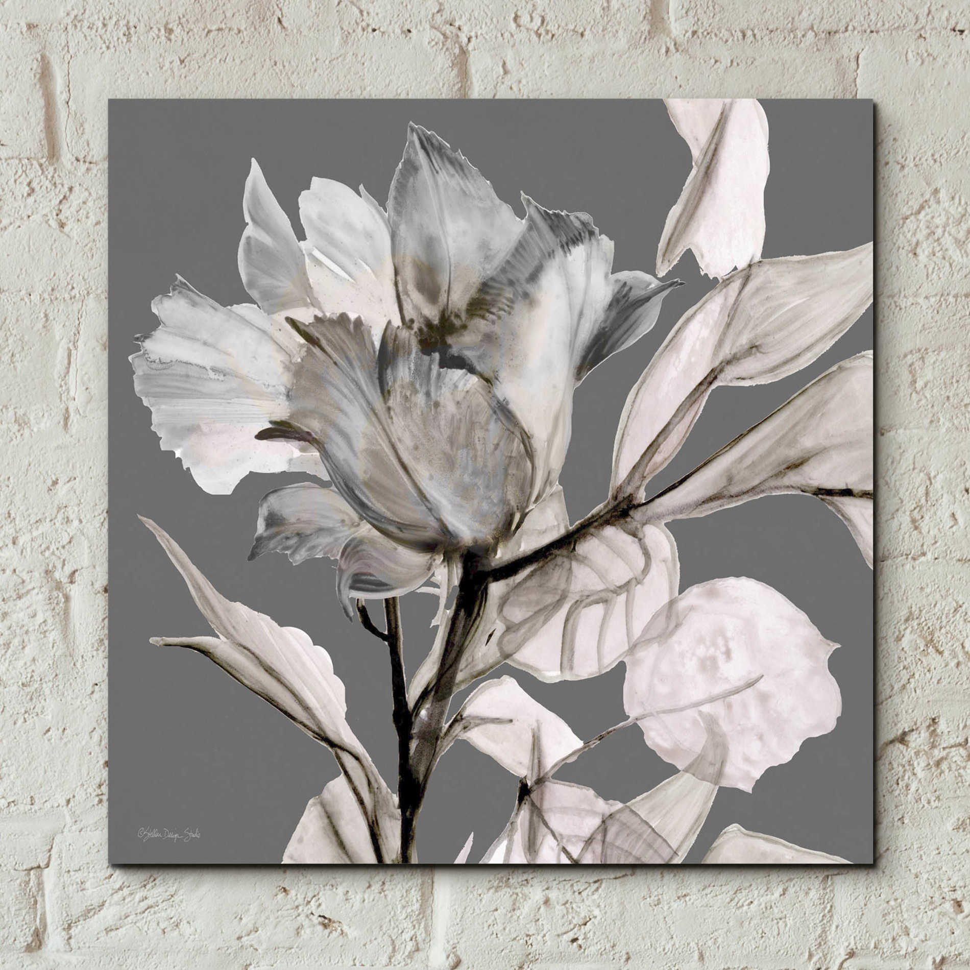 Epic Art 'Floral in Gray 2' by Stellar Design Studio, Acrylic Glass Wall Art,12x12