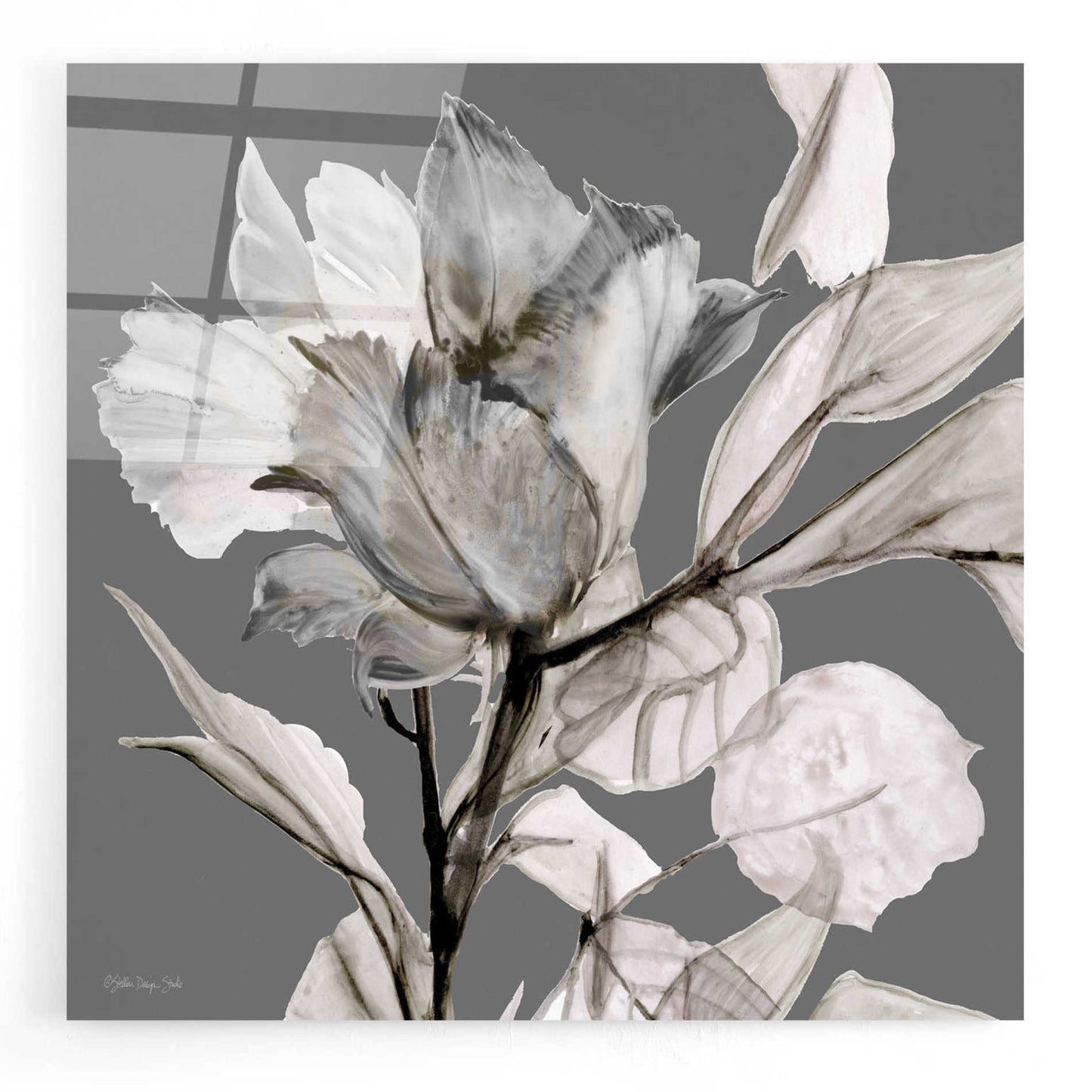 Epic Art 'Floral in Gray 2' by Stellar Design Studio, Acrylic Glass Wall Art,12x12