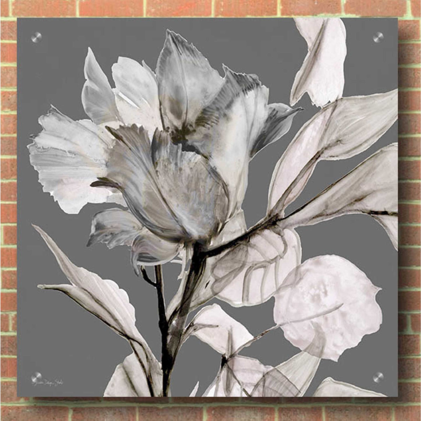 Epic Art 'Floral in Gray 2' by Stellar Design Studio, Acrylic Glass Wall Art,36x36