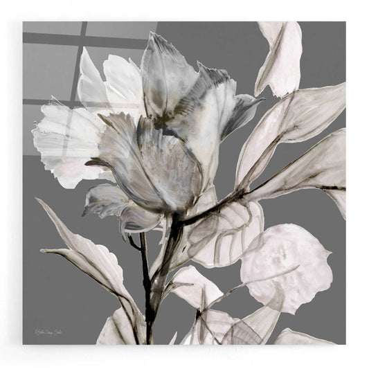 Epic Art 'Floral in Gray 2' by Stellar Design Studio, Acrylic Glass Wall Art