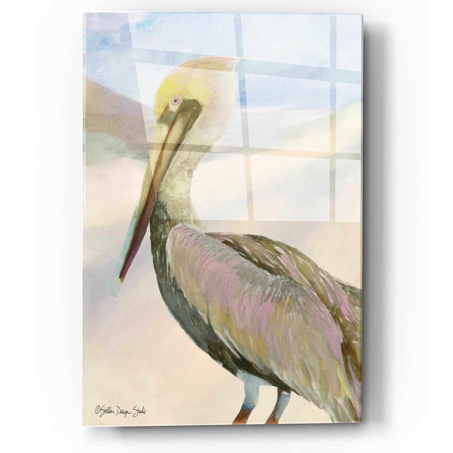 Epic Art 'Pelican 2' by Stellar Design Studio, Acrylic Glass Wall Art,12x16