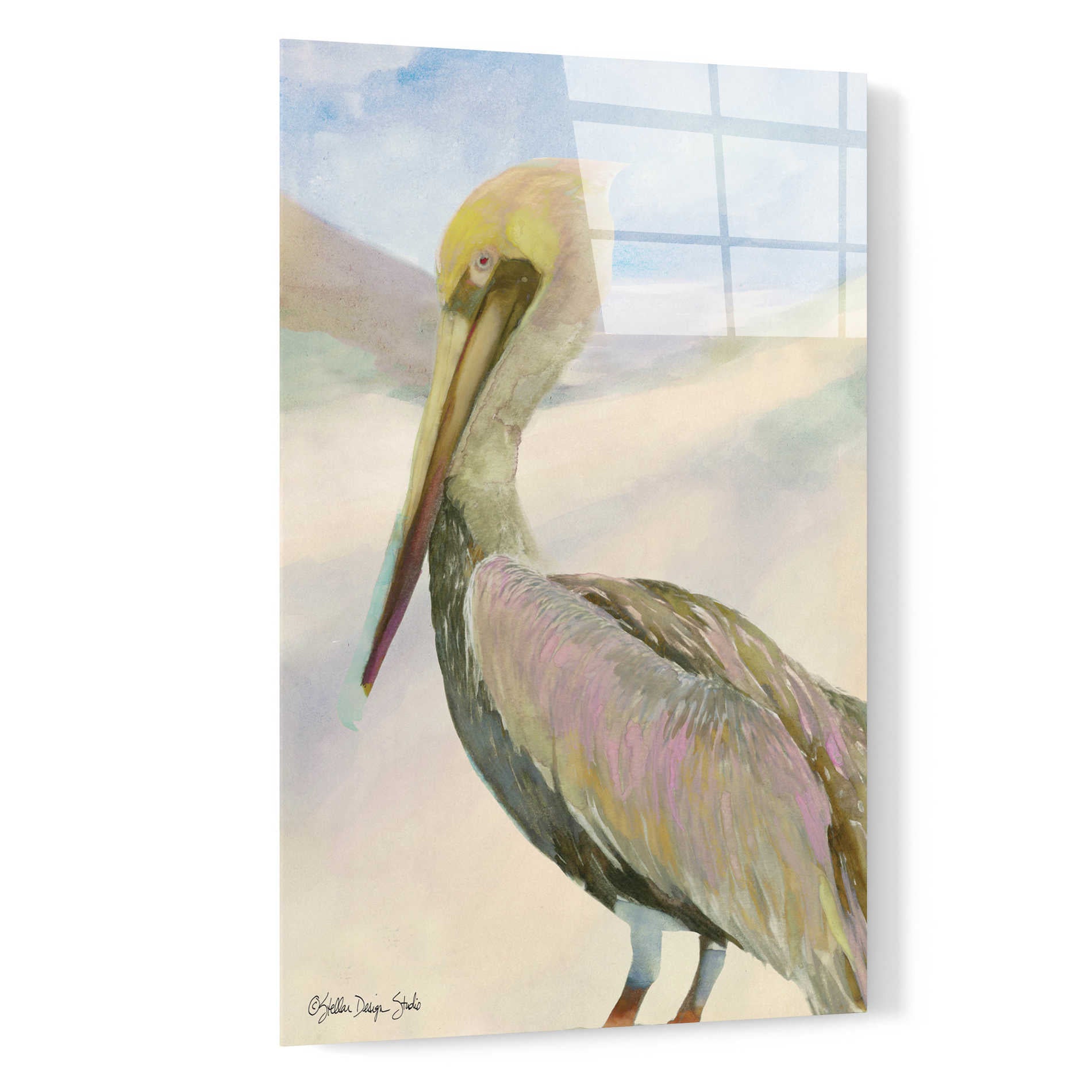 Epic Art 'Pelican 2' by Stellar Design Studio, Acrylic Glass Wall Art,16x24