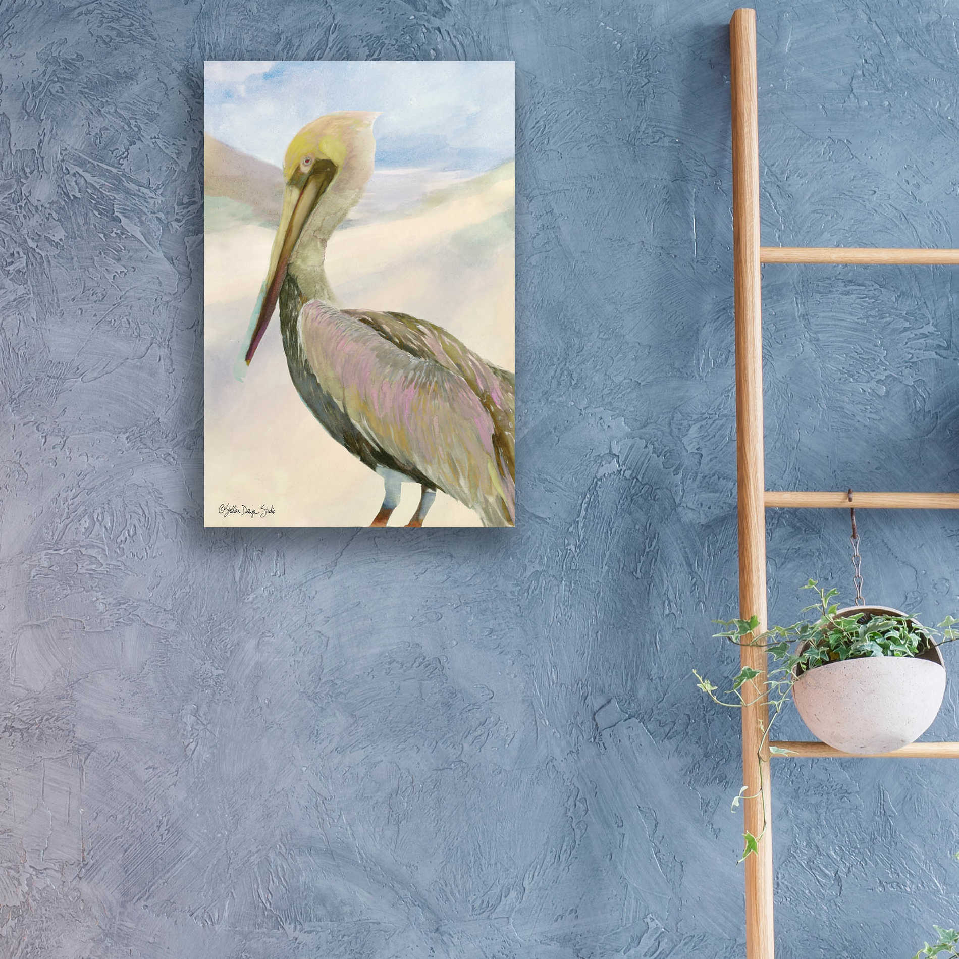 Epic Art 'Pelican 2' by Stellar Design Studio, Acrylic Glass Wall Art,16x24