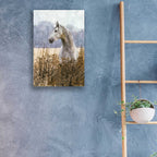 Epic Art 'Beauty' by Stellar Design Studio, Acrylic Glass Wall Art,16x24
