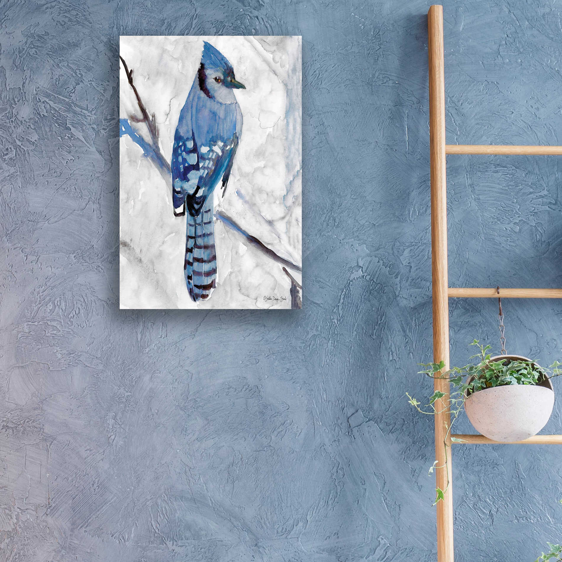 Epic Art 'Blue Jay 1' by Stellar Design Studio, Acrylic Glass Wall Art,16x24