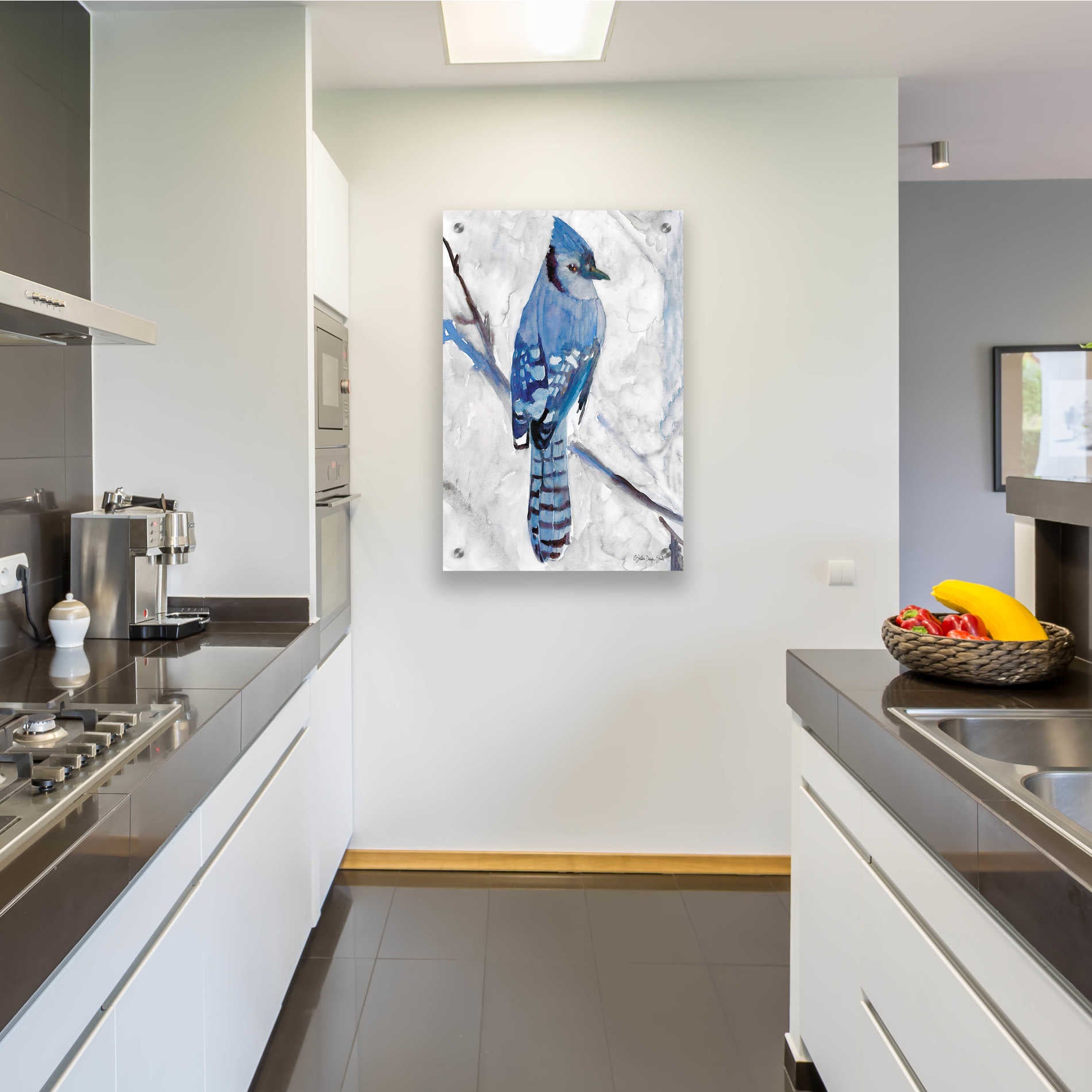 Epic Art 'Blue Jay 1' by Stellar Design Studio, Acrylic Glass Wall Art,24x36