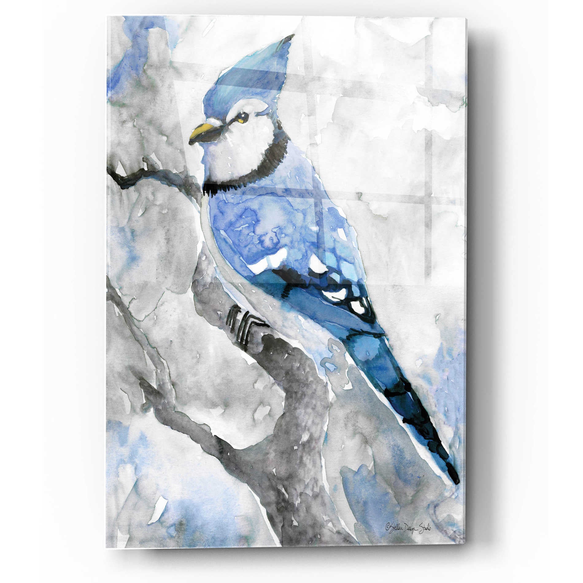 Epic Art 'Blue Jay 2' by Stellar Design Studio, Acrylic Glass Wall Art,12x16