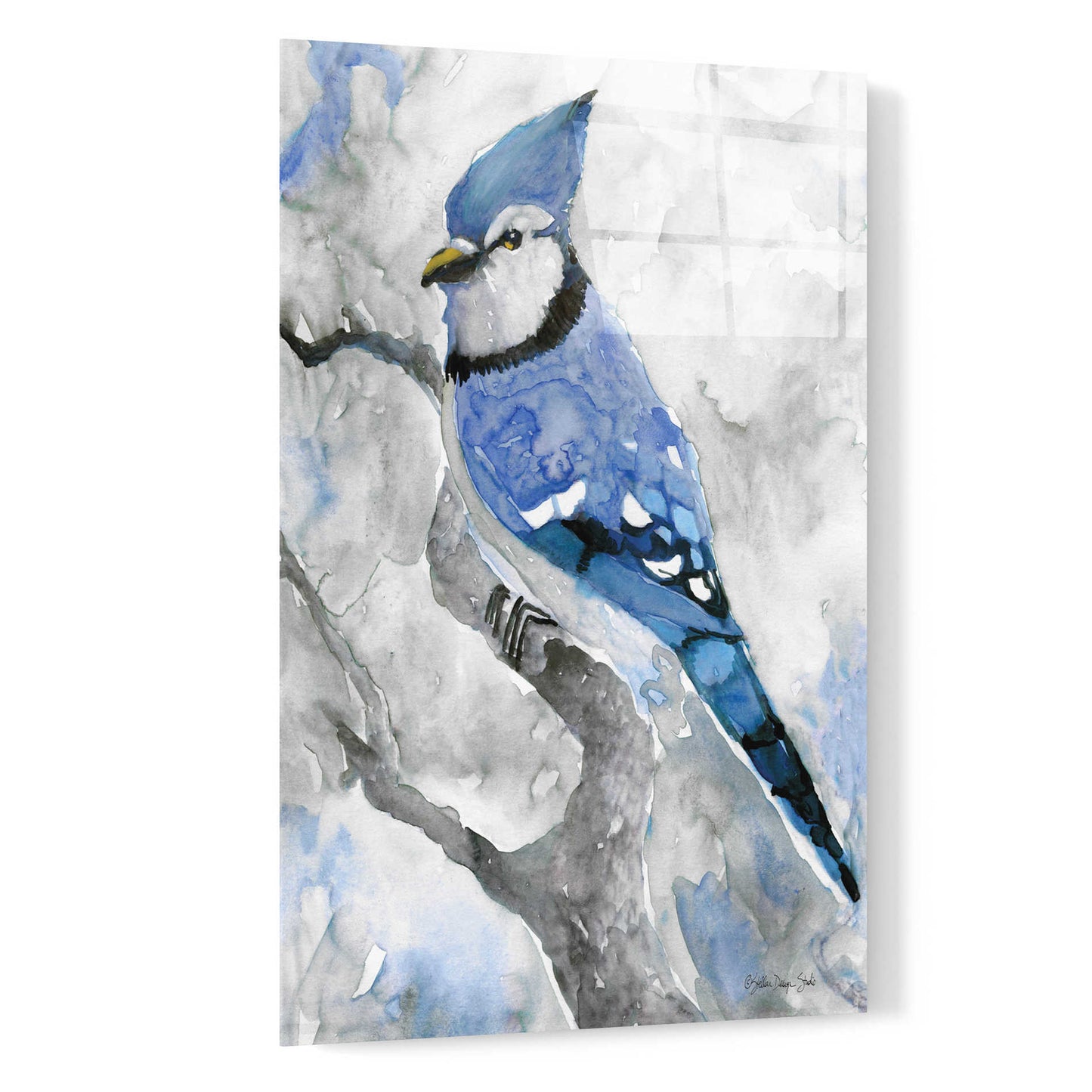 Epic Art 'Blue Jay 2' by Stellar Design Studio, Acrylic Glass Wall Art,16x24