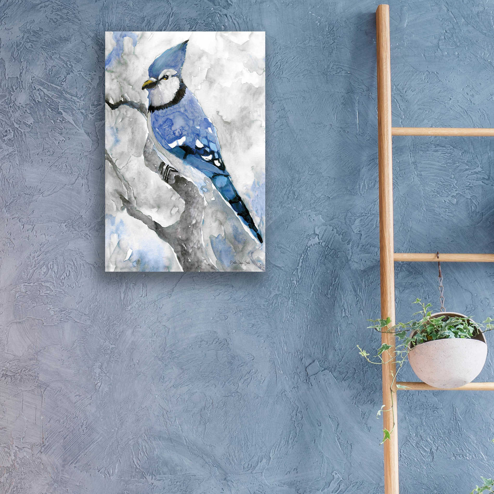 Epic Art 'Blue Jay 2' by Stellar Design Studio, Acrylic Glass Wall Art,16x24