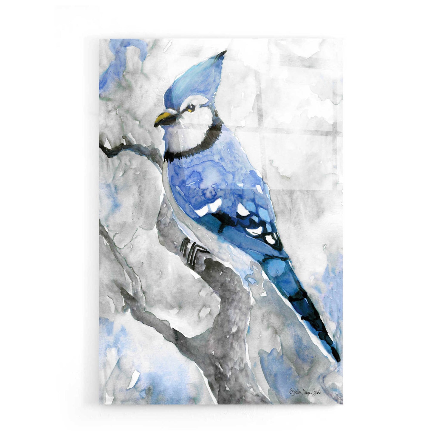 Epic Art 'Blue Jay 2' by Stellar Design Studio, Acrylic Glass Wall Art,16x24