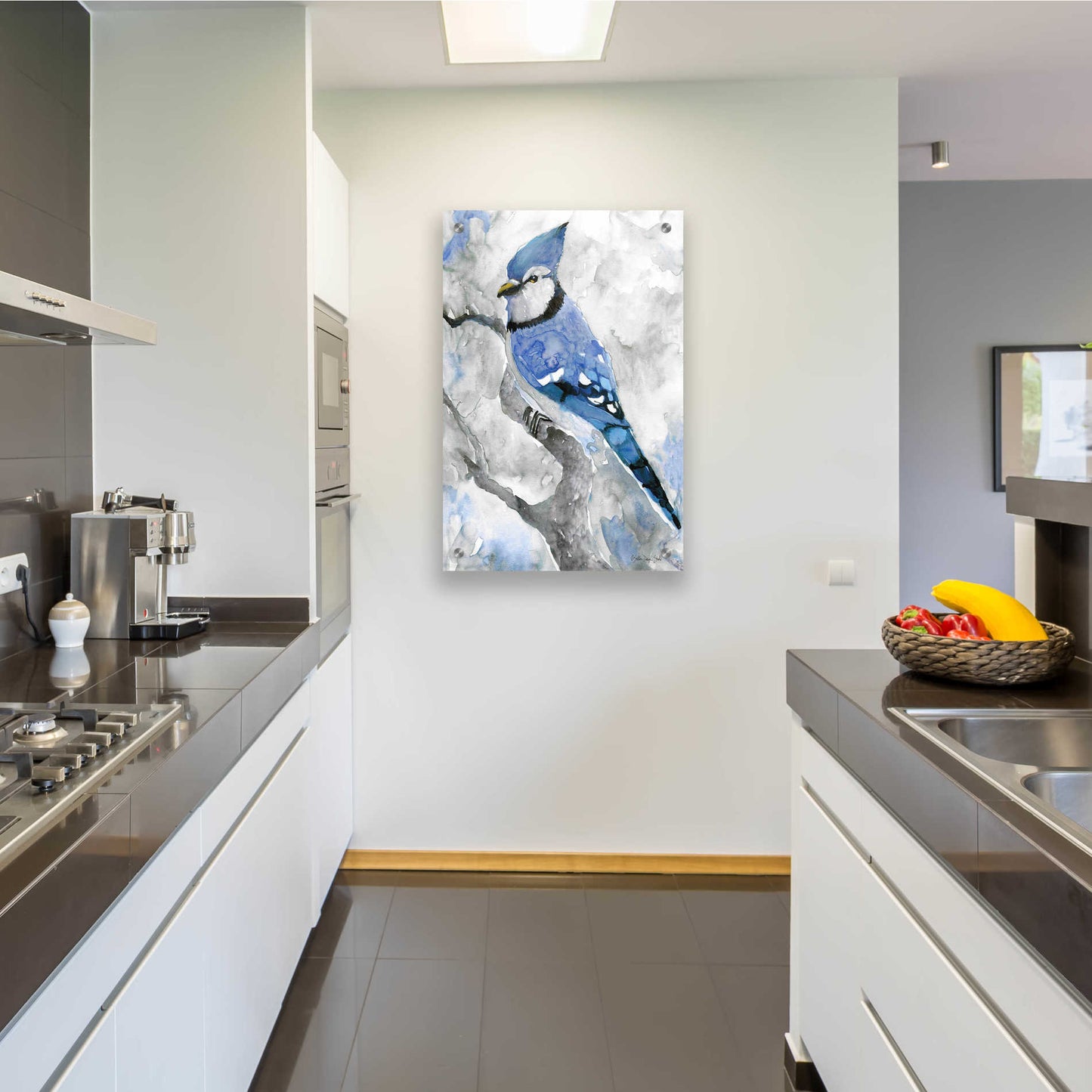 Epic Art 'Blue Jay 2' by Stellar Design Studio, Acrylic Glass Wall Art,24x36