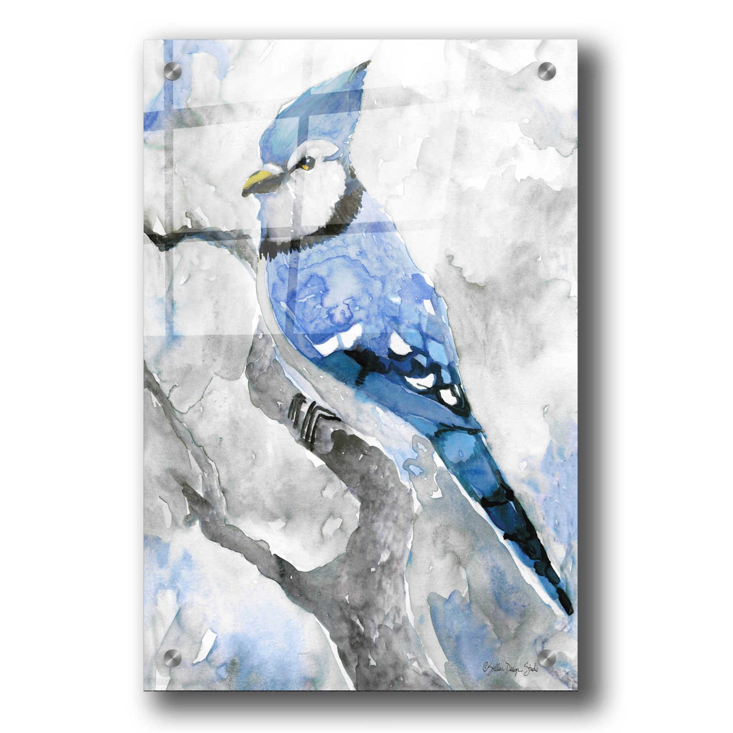 Epic Art 'Blue Jay 2' by Stellar Design Studio, Acrylic Glass Wall Art,24x36