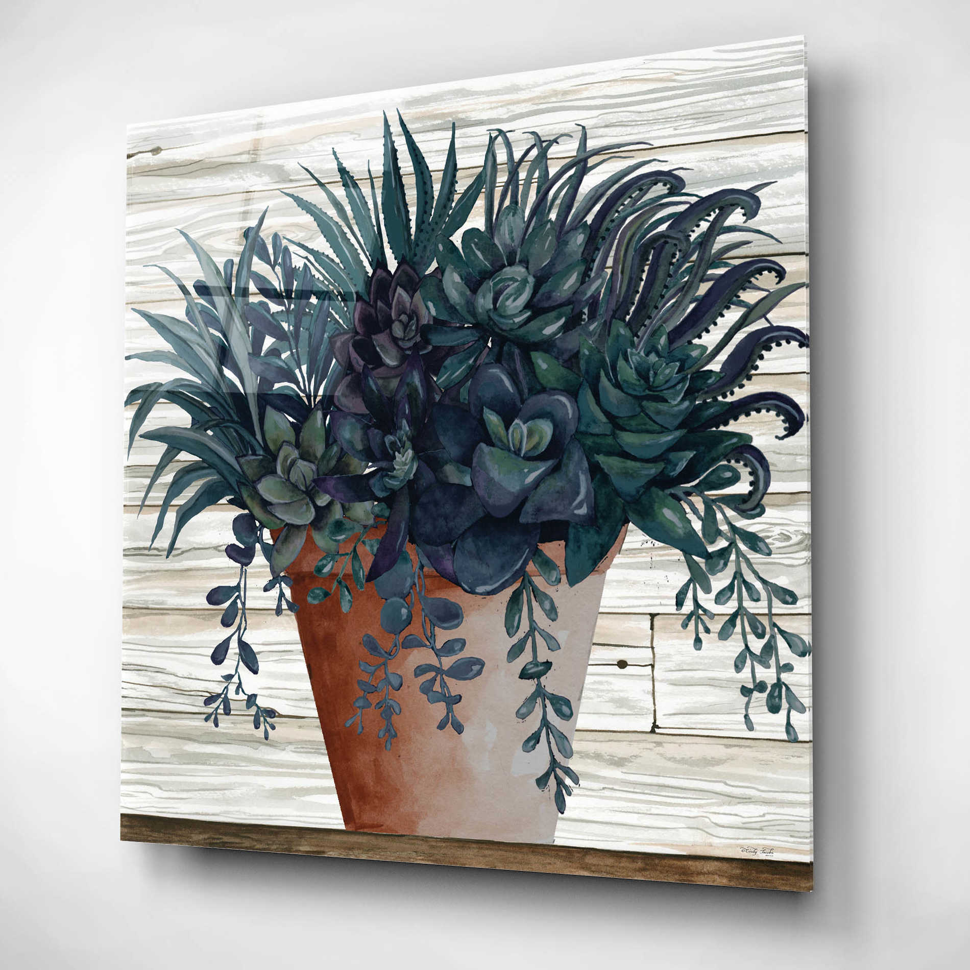Epic Art 'Remarkable Succulents I' by Cindy Jacobs, Acrylic Glass Wall Art,12x12