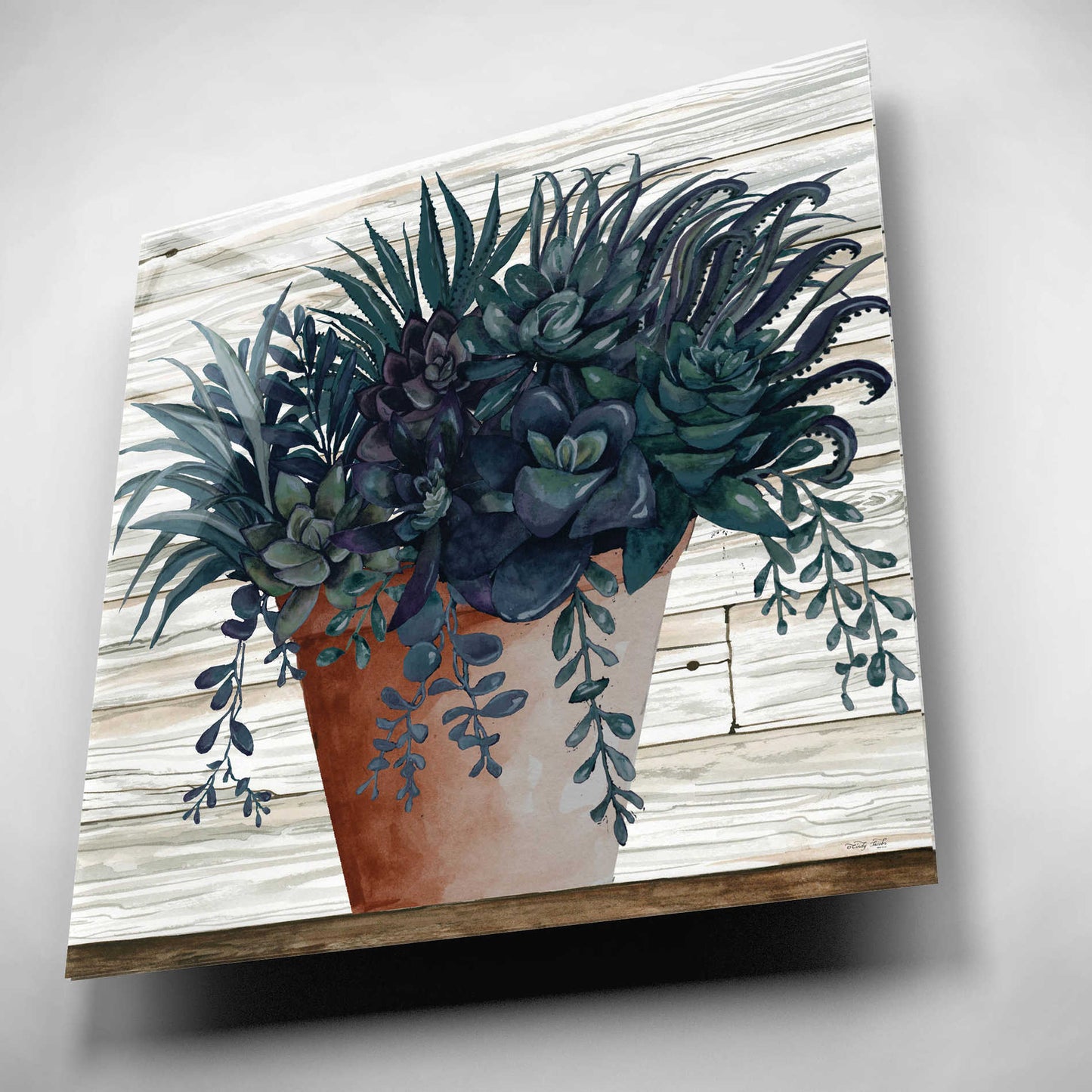 Epic Art 'Remarkable Succulents I' by Cindy Jacobs, Acrylic Glass Wall Art,12x12
