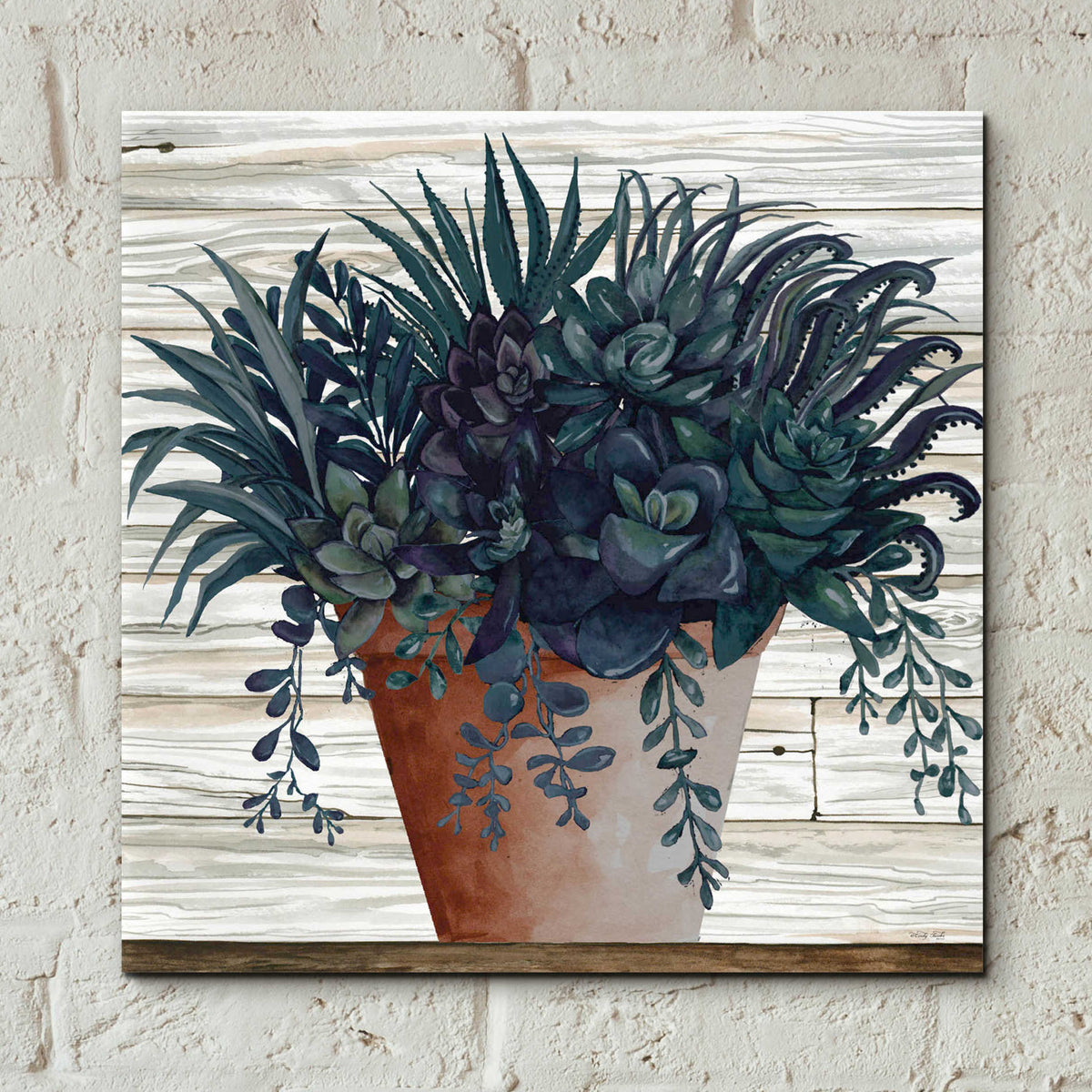 Epic Art 'Remarkable Succulents I' by Cindy Jacobs, Acrylic Glass Wall Art,12x12