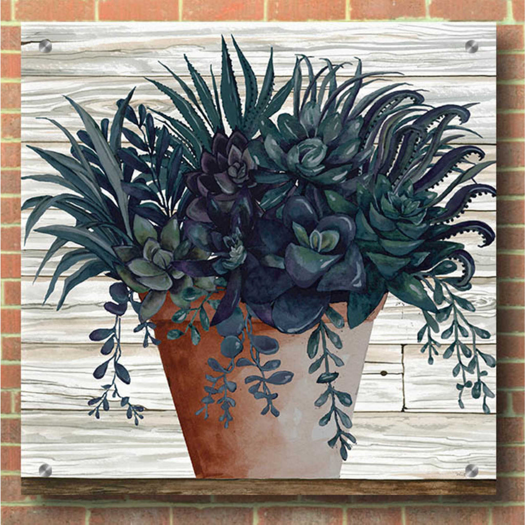 Epic Art 'Remarkable Succulents I' by Cindy Jacobs, Acrylic Glass Wall Art,36x36