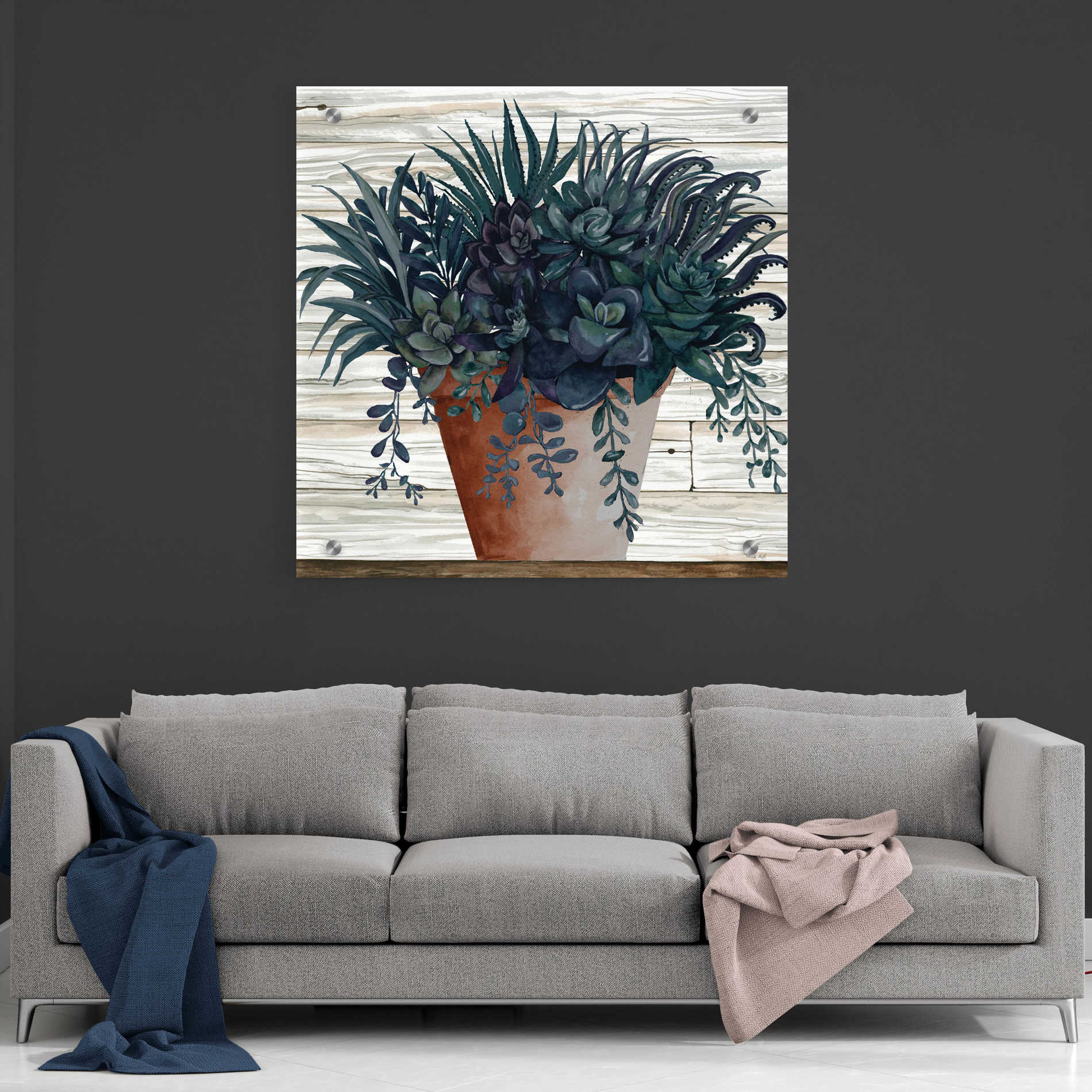 Epic Art 'Remarkable Succulents I' by Cindy Jacobs, Acrylic Glass Wall Art,36x36