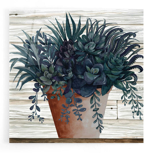 Epic Art 'Remarkable Succulents I' by Cindy Jacobs, Acrylic Glass Wall Art