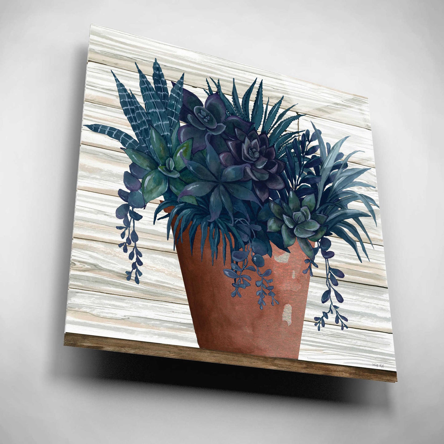 Epic Art 'Remarkable Succulents II' by Cindy Jacobs, Acrylic Glass Wall Art,12x12