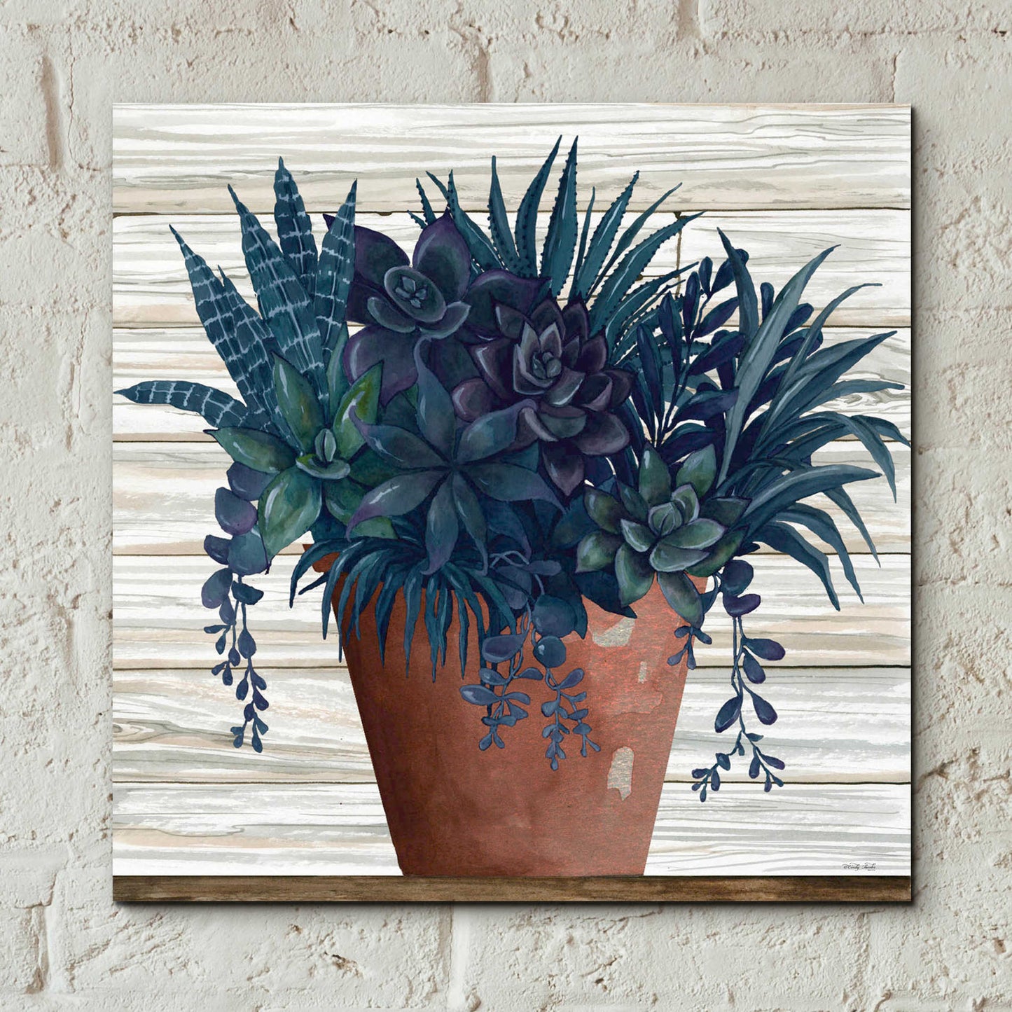 Epic Art 'Remarkable Succulents II' by Cindy Jacobs, Acrylic Glass Wall Art,12x12