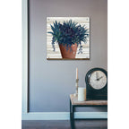 Epic Art 'Remarkable Succulents II' by Cindy Jacobs, Acrylic Glass Wall Art,24x24