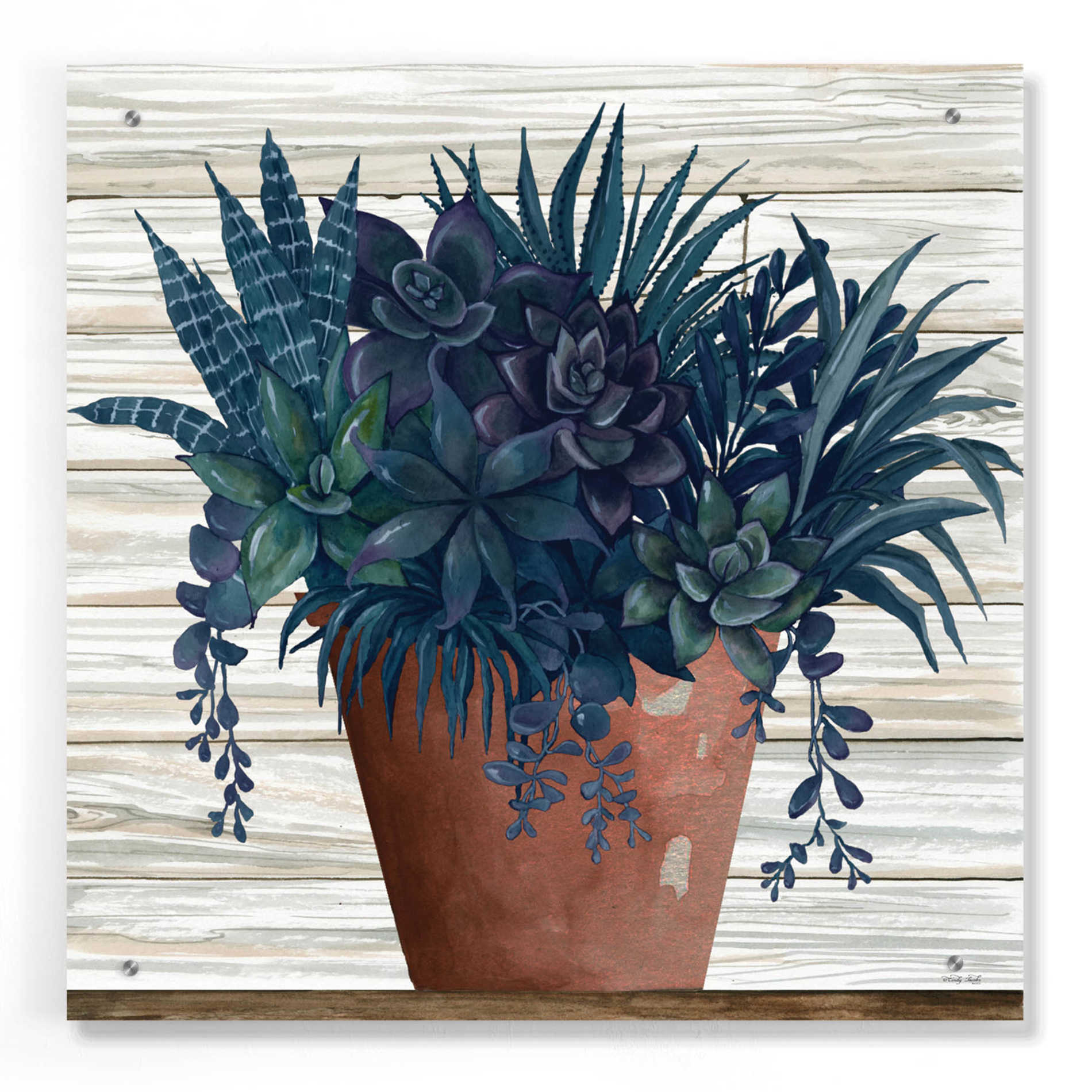 Epic Art 'Remarkable Succulents II' by Cindy Jacobs, Acrylic Glass Wall Art,24x24