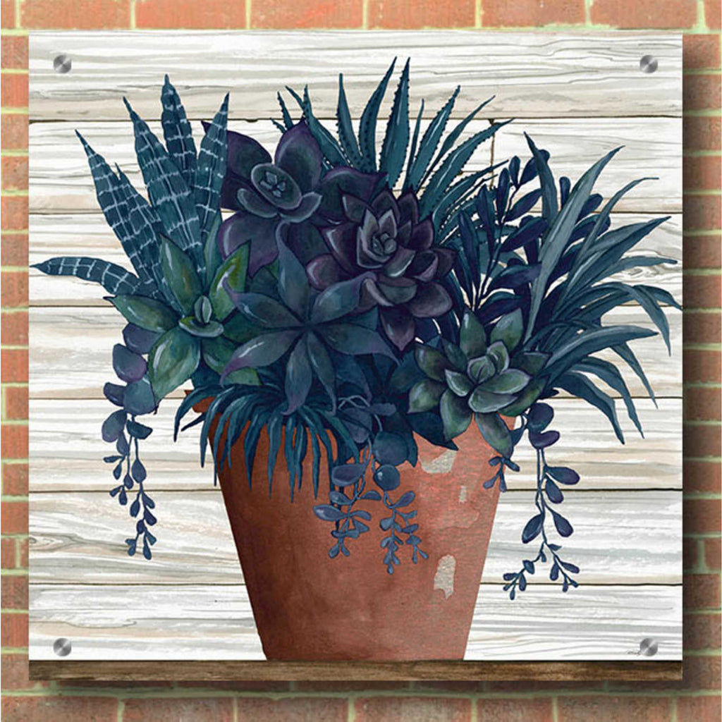 Epic Art 'Remarkable Succulents II' by Cindy Jacobs, Acrylic Glass Wall Art,36x36