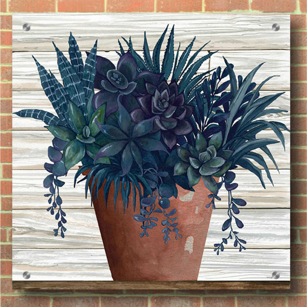 Epic Art 'Remarkable Succulents II' by Cindy Jacobs, Acrylic Glass Wall Art,36x36