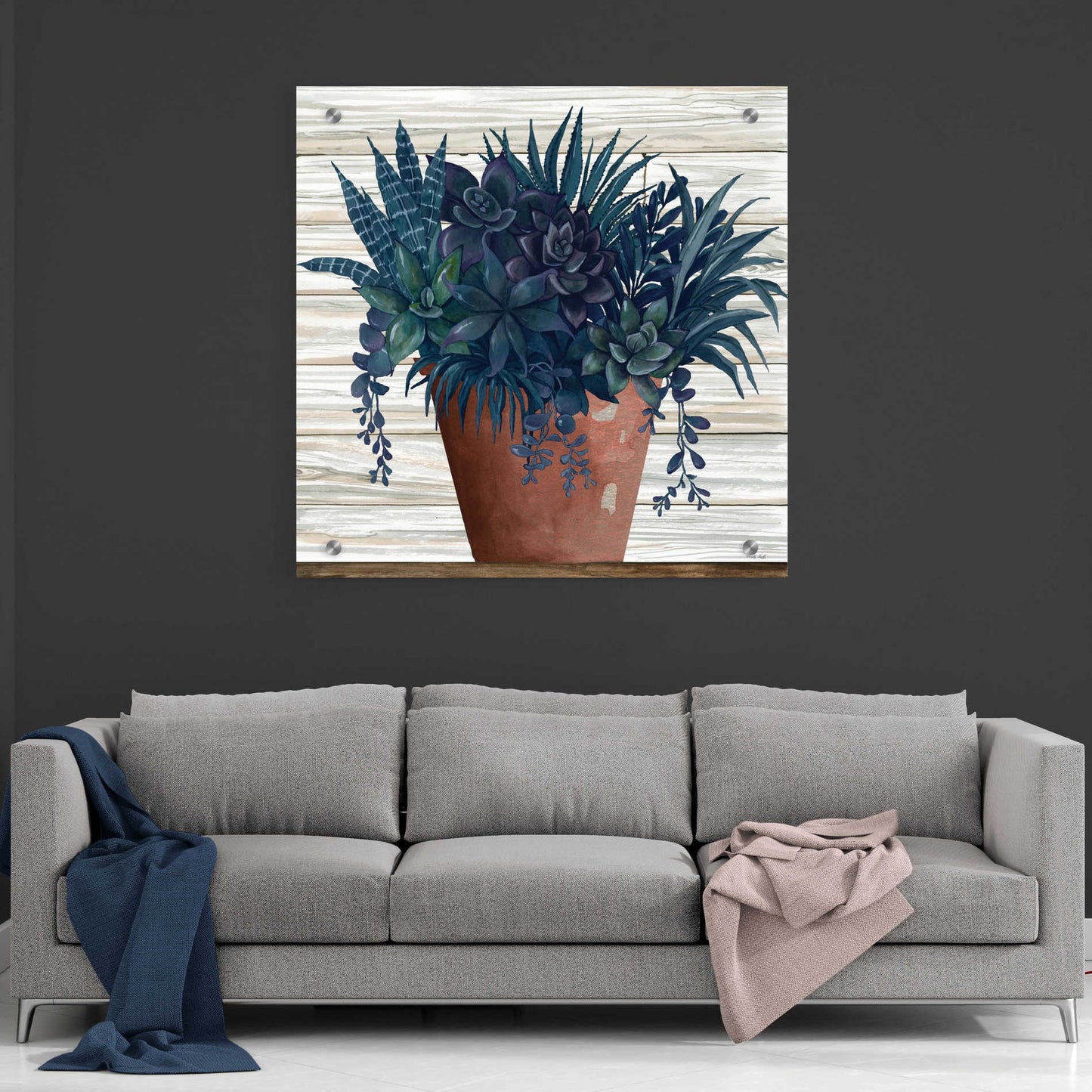 Epic Art 'Remarkable Succulents II' by Cindy Jacobs, Acrylic Glass Wall Art,36x36
