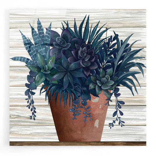 Epic Art 'Remarkable Succulents II' by Cindy Jacobs, Acrylic Glass Wall Art